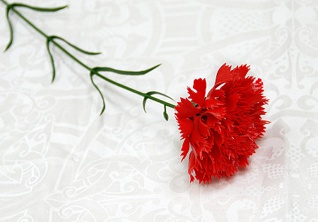 Гвоздика пластик