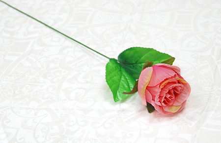 Бутон катюня