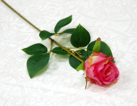 Бутон эквадор