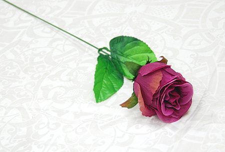 Бутон катюня