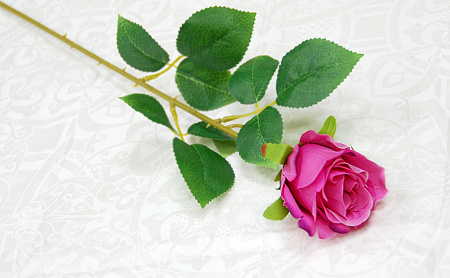 Бутон эквадор