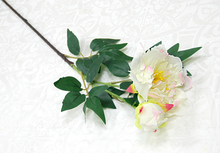 Ветка пиона декоративный