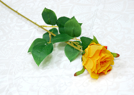 Бутон эквадор